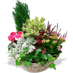 FUNÉRAL PLANT CUTTINGS LYON - EN SOUVENIR