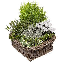 FUNÉRAL PLANT CUTTINGS PLÉNITUDE