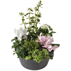 COMPOSITION DEUIL DE PLANTES - DE TOUT COEUR