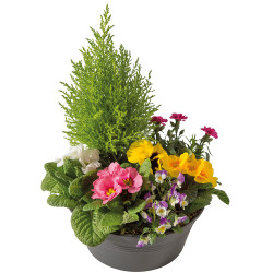 FUNÉRAL PLANT CUTTINGS SINCÈRE AFFECTION