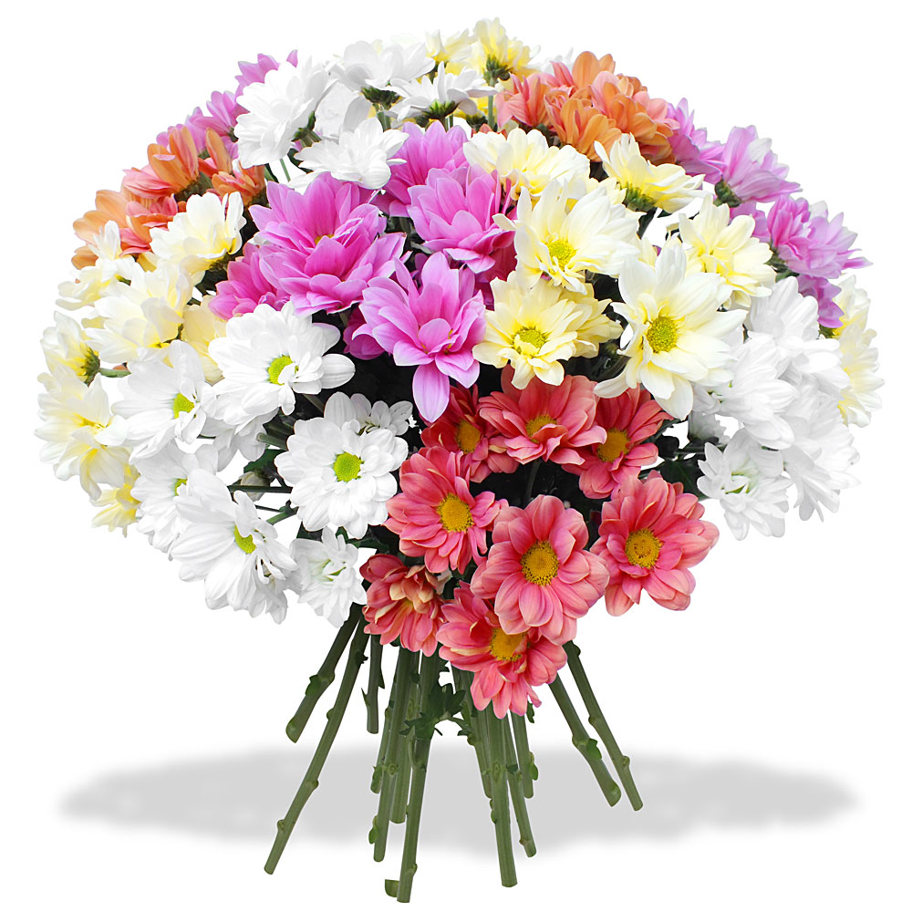 Bouquet deuil LYON, Bouquet deuil Affoux, Bouquet deuil Aigueperse, Bouquet deuil Albigny-sur-Saone, Bouquet deuil Alix, Bouquet deuil Ambérieux, Bouquet deuil Amplepuis, Bouquet deuil Ampuis, Bouquet deuil Ancy, Bouquet deuil Anse, Bouquet deuil Arnas, Bouquet deuil Aveize, Bouquet deuil Avenas, Bouquet deuil Azolette, Bouquet deuil Bagnols, Bouquet deuil Beaujeu, Bouquet deuil Belleville, Bouquet deuil Belmont-d'Azergues, Bouquet deuil Bessenay, Bouquet deuil Bibost, Bouquet deuil Blacé, Bouquet deuil Bourg-de-Thizy, Bouquet deuil Brignais, Bouquet deuil Brindas, Bouquet deuil Bron, Bouquet deuil Brullioles, Bouquet deuil Brussieu, Bouquet deuil Bully, Bouquet deuil Cailloux-sur-Fontaines, Bouquet deuil Caluire-et-Cuire, Bouquet deuil Cenves, Bouquet deuil Cercié, Bouquet deuil Chambost-Allières, Bouquet deuil Chambost-Longessaigne, Bouquet deuil Chamelet, Bouquet deuil Champagne-au-Mont-d'Or, Bouquet deuil Chaponnay, Bouquet deuil Chaponost, Bouquet deuil Charbonnières-les-Bains, Bouquet deuil Charentay, Bouquet deuil Charly, Bouquet deuil Charnay, Bouquet deuil Chassagny, Bouquet deuil Chasselay, Bouquet deuil Chassieu, Bouquet deuil Chatillon, Bouquet deuil Chaussan, Bouquet deuil Chazay-d'Azergues, Bouquet deuil Chénas, Bouquet deuil Chénelette, Bouquet deuil Chessy, Bouquet deuil Chevinay, Bouquet deuil Chiroubles, Bouquet deuil Civrieux-d'Azergues, Bouquet deuil Claveisolles, Bouquet deuil Cogny, Bouquet deuil Coise, Bouquet deuil Collonges-au-Mont-d'Or, Bouquet deuil Colombier-Saugnieu, Bouquet deuil Communay, Bouquet deuil Condrieu, Bouquet deuil Corbas, Bouquet deuil Corcelles-en-Beaujolais, Bouquet deuil Cours-la-Ville, Bouquet deuil Courzieu, Bouquet deuil Couzon-au-Mont-d'Or, Bouquet deuil Craponne, Bouquet deuil Cublize, Bouquet deuil Curis-au-Mont-d'Or, Bouquet deuil Dardilly, Bouquet deuil Dareizé, Bouquet deuil Décines-Charpieu, Bouquet deuil Denicé, Bouquet deuil Dième, Bouquet deuil Dommartin, Bouquet deuil Dracé, Bouquet deuil Duerne, Bouquet deuil Échalas, Bouquet deuil Écully, Bouquet deuil Émeringes, Bouquet deuil Éveux, Bouquet deuil Feyzin, Bouquet deuil Fleurie, Bouquet deuil Fleurieu-sur-Saone, Bouquet deuil Fleurieux-sur-l'Arbresle, Bouquet deuil Fontaines-Saint-Martin, Bouquet deuil Fontaines-sur-Saone, Bouquet deuil Francheville, Bouquet deuil Frontenas, Bouquet deuil Genas, Bouquet deuil Genay, Bouquet deuil Givors, Bouquet deuil Gleizé, Bouquet deuil Grandris, Bouquet deuil Grézieu-la-Varenne, Bouquet deuil Grézieu-le-Marché, Bouquet deuil Grigny, Bouquet deuil Haute-Rivoire, Bouquet deuil Irigny, Bouquet deuil Jarnioux, Bouquet deuil Jonage, Bouquet deuil Jons, Bouquet deuil Joux, Bouquet deuil Juliénas, Bouquet deuil Jullié, Bouquet deuil L' Arbresle, Bouquet deuil La Chapelle-de-Mardore, Bouquet deuil La Chapelle-sur-Coise, Bouquet deuil La Mulatière, Bouquet deuil La Tour-de-Salvagny, Bouquet deuil Lacenas, Bouquet deuil Lachassagne, Bouquet deuil Lamure-sur-Azergues, Bouquet deuil Lancié, Bouquet deuil Lantignié, Bouquet deuil Larajasse, Bouquet deuil Le Bois-d'Oingt, Bouquet deuil Le Breuil, Bouquet deuil Le Perréon, Bouquet deuil Légny, Bouquet deuil Lentilly, Bouquet deuil Les Ardillats, Bouquet deuil Les Chères, Bouquet deuil Les Haies, Bouquet deuil Les Halles, Bouquet deuil Les Olmes, Bouquet deuil Les Sauvages, Bouquet deuil Létra, Bouquet deuil Liergues, Bouquet deuil Limas, Bouquet deuil Limonest, Bouquet deuil Lissieu, Bouquet deuil Loire-sur-Rhone, Bouquet deuil Longes, Bouquet deuil Longessaigne, Bouquet deuil Lozanne, Bouquet deuil Lucenay, Bouquet deuil Lyon, Bouquet deuil Lyon 1, Bouquet deuil Lyon 2, Bouquet deuil Lyon 3, Bouquet deuil Lyon 4, Bouquet deuil Lyon 5, Bouquet deuil Lyon 6, Bouquet deuil Lyon 7, Bouquet deuil Lyon 8, Bouquet deuil Lyon 9, Bouquet deuil Marchampt, Bouquet deuil Marcilly-d'Azergues, Bouquet deuil Marcy, Bouquet deuil Marcy-l'Étoile, Bouquet deuil Mardore, Bouquet deuil Marennes, Bouquet deuil Marnand, Bouquet deuil Meaux-la-Montagne, Bouquet deuil Messimy, Bouquet deuil Meys, Bouquet deuil Meyzieu, Bouquet deuil Millery, Bouquet deuil Mions, Bouquet deuil Moiré, Bouquet deuil Monsols, Bouquet deuil Montagny, Bouquet deuil Montanay, Bouquet deuil Montmelas-Saint-Sorlin, Bouquet deuil Montromant, Bouquet deuil Montrottier, Bouquet deuil Morancé, Bouquet deuil Mornant, Bouquet deuil Neuville-sur-Saone, Bouquet deuil Nuelles, Bouquet deuil Odenas, Bouquet deuil Oingt, Bouquet deuil Orliénas, Bouquet deuil Oullins, Bouquet deuil Ouroux, Bouquet deuil Pierre-Bénite, Bouquet deuil Poleymieux-au-Mont-d'Or, Bouquet deuil Pollionnay, Bouquet deuil Pomeys, Bouquet deuil Pommiers, Bouquet deuil Pont-Trambouze, Bouquet deuil Pontcharra-sur-Turdine, Bouquet deuil Pouilly-le-Monial, Bouquet deuil Poule-les-Écharmeaux, Bouquet deuil Propières, Bouquet deuil Pusignan, Bouquet deuil Quincié-en-Beaujolais, Bouquet deuil Quincieux, Bouquet deuil Ranchal, Bouquet deuil Régnié-Durette, Bouquet deuil Rillieux-la-Pape, Bouquet deuil Riverie, Bouquet deuil Rivolet, Bouquet deuil Rochetaillée-sur-Saone, Bouquet deuil Ronno, Bouquet deuil Rontalon, Bouquet deuil Sain-Bel, Bouquet deuil Saint-Andéol-le-Chateau, Bouquet deuil Saint-André-la-Cote, Bouquet deuil Saint-Appolinaire, Bouquet deuil Saint-Bonnet-de-Mure, Bouquet deuil Saint-Bonnet-des-Bruyères, Bouquet deuil Saint-Bonnet-le-Troncy, Bouquet deuil Saint-Christophe, Bouquet deuil Saint-Clément-de-Vers, Bouquet deuil Saint-Clément-les-Places, Bouquet deuil Saint-Clément-sur-Valsonne, Bouquet deuil Saint-Cyr-au-Mont-d'Or, Bouquet deuil Saint-Cyr-le-Chatoux, Bouquet deuil Saint-Cyr-sur-le-Rhone, Bouquet deuil Saint-Didier-au-Mont-d'Or, Bouquet deuil Saint-Didier-sous-Riverie, Bouquet deuil Saint-Didier-sur-Beaujeu, Bouquet deuil Saint-Étienne-des-Oullières, Bouquet deuil Saint-Étienne-la-Varenne, Bouquet deuil Saint-Fons, Bouquet deuil Saint-Forgeux, Bouquet deuil Saint-Genis-l'Argentière, Bouquet deuil Saint-Genis-Laval, Bouquet deuil Saint-Genis-les-Ollières, Bouquet deuil Saint-Georges-de-Reneins, Bouquet deuil Saint-Germain-au-Mont-d'Or, Bouquet deuil Saint-Germain-sur-l'Arbresle, Bouquet deuil Saint-Igny-de-Vers, Bouquet deuil Saint-Jacques-des-Arrets, Bouquet deuil Saint-Jean-d'Ardières, Bouquet deuil Saint-Jean-de-Touslas, Bouquet deuil Saint-Jean-des-Vignes, Bouquet deuil Saint-Jean-la-Bussière, Bouquet deuil Saint-Julien, Bouquet deuil Saint-Julien-sur-Bibost, Bouquet deuil Saint-Just-d'Avray, Bouquet deuil Saint-Lager, Bouquet deuil Saint-Laurent-d'Agny, Bouquet deuil Saint-Laurent-d'Oingt, Bouquet deuil Saint-Laurent-de-Chamousset, Bouquet deuil Saint-Laurent-de-Mure, Bouquet deuil Saint-Laurent-de-Vaux, Bouquet deuil Saint-Loup, Bouquet deuil Saint-Mamert, Bouquet deuil Saint-Marcel-l'Éclairé, Bouquet deuil Saint-Martin de Cornas - Givors, Bouquet deuil Saint-Martin-en-Haut, Bouquet deuil Saint-Maurice-sur-Dargoire, Bouquet deuil Saint-Nizier-d'Azergues, Bouquet deuil Saint-Pierre-de-Chandieu, Bouquet deuil Saint-Pierre-la-Palud, Bouquet deuil Saint-Priest, Bouquet deuil Saint-Romain-au-Mont-d'Or, Bouquet deuil Saint-Romain-de-Popey, Bouquet deuil Saint-Romain-en-Gal, Bouquet deuil Saint-Romain-en-Gier, Bouquet deuil Saint-Sorlin, Bouquet deuil Saint-Symphorien-d'Ozon, Bouquet deuil Saint-Symphorien-sur-Coise, Bouquet deuil Saint-Vérand, Bouquet deuil Saint-Vincent-de-Reins, Bouquet deuil Sainte-Catherine, Bouquet deuil Sainte-Colombe, Bouquet deuil Sainte-Consorce, Bouquet deuil Sainte-Foy-l'Argentière, Bouquet deuil Sainte-Foy-lès-Lyon, Bouquet deuil Sainte-Paule, Bouquet deuil Salles-Arbuissonnas-en-Beaujolais, Bouquet deuil Sarcey, Bouquet deuil Sathonay-Camp, Bouquet deuil Sathonay-Village, Bouquet deuil Savigny, Bouquet deuil Sérézin-du-Rhone, Bouquet deuil Simandres, Bouquet deuil Solaize, Bouquet deuil Soucieu-en-Jarrest, Bouquet deuil Sourcieux-les-Mines, Bouquet deuil Souzy, Bouquet deuil Taluyers, Bouquet deuil Taponas, Bouquet deuil Tarare, Bouquet deuil Tassin-la-Demi-Lune, Bouquet deuil Ternand, Bouquet deuil Ternay, Bouquet deuil Theizé, Bouquet deuil Thel, Bouquet deuil Thizy, Bouquet deuil Thurins, Bouquet deuil Toussieu, Bouquet deuil Trades, Bouquet deuil Trèves, Bouquet deuil Tupin-et-Semons, Bouquet deuil Valsonne, Bouquet deuil Vaugneray, Bouquet deuil Vaulx-en-Velin, Bouquet deuil Vaux-en-Beaujolais, Bouquet deuil Vauxrenard, Bouquet deuil Vénissieux, Bouquet deuil Vernaison, Bouquet deuil Vernay, Bouquet deuil Ville-sur-Jarnioux, Bouquet deuil Villechenève, Bouquet deuil Villefranche-sur-Saone, Bouquet deuil Villeurbanne, Bouquet deuil Villié-Morgon, Bouquet deuil Vourles, Bouquet deuil Yzeron